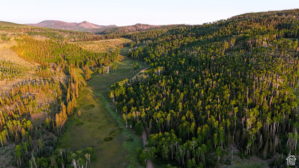View of mountain backdrop featuring a forest