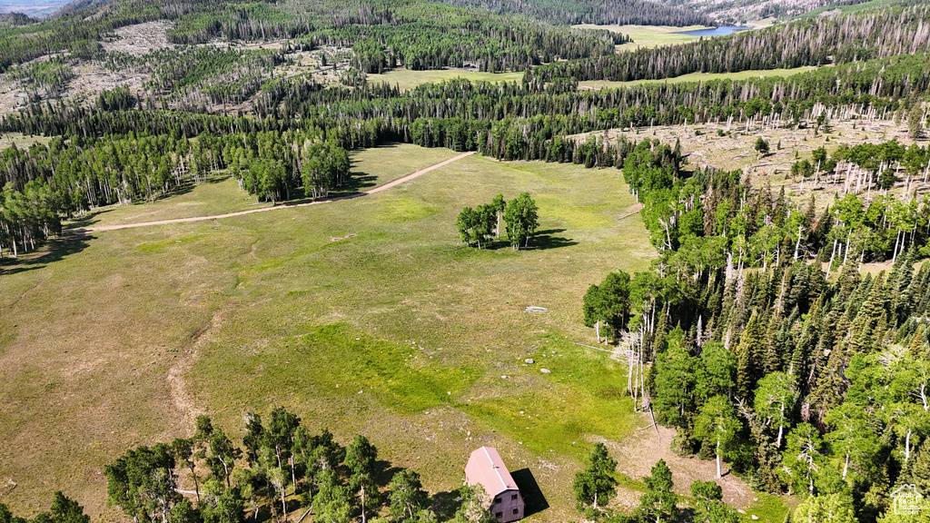 Aerial view of a mountain backdrop and a forest