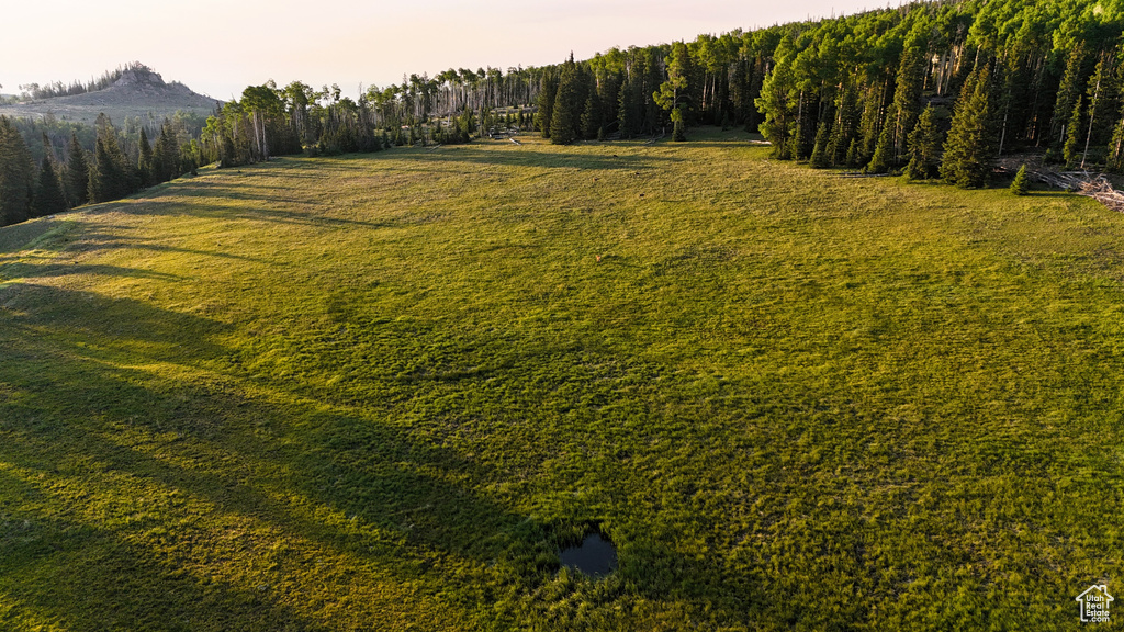 View of grassy yard featuring a mountain view and a view of trees