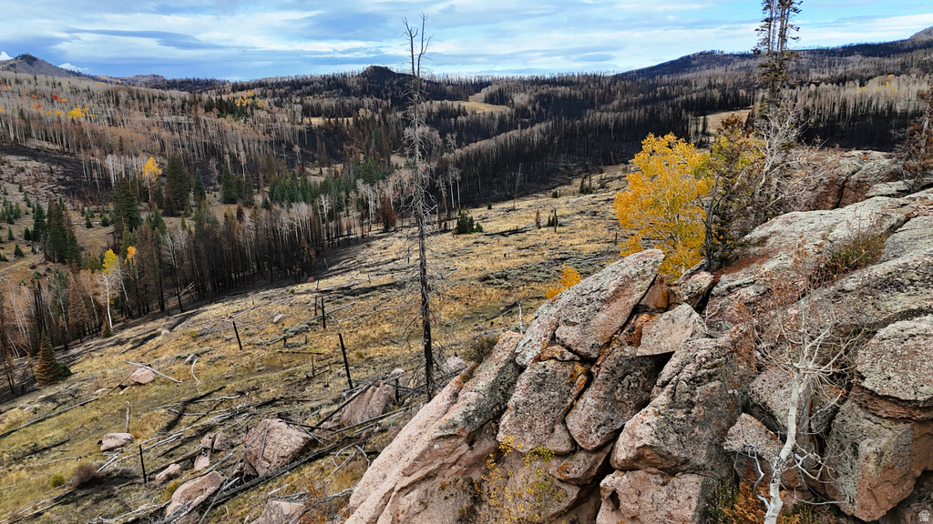 123  TBD MONROE CANYON RD Monroe, UT 84754