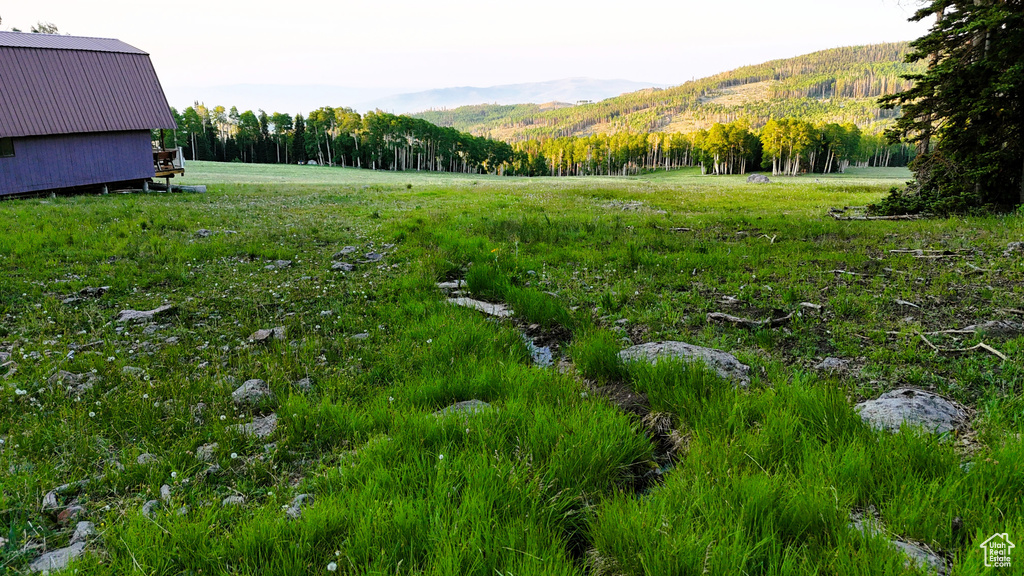 View of yard with a mountain view