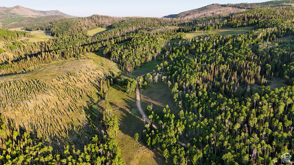 Aerial view of property's location with mountains