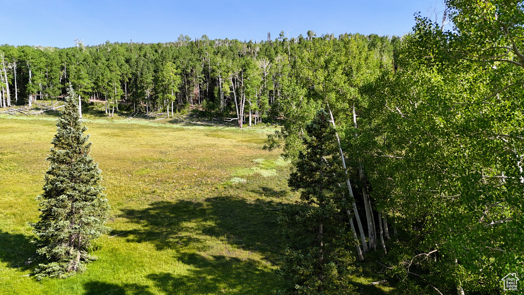 Aerial view of a heavily wooded area