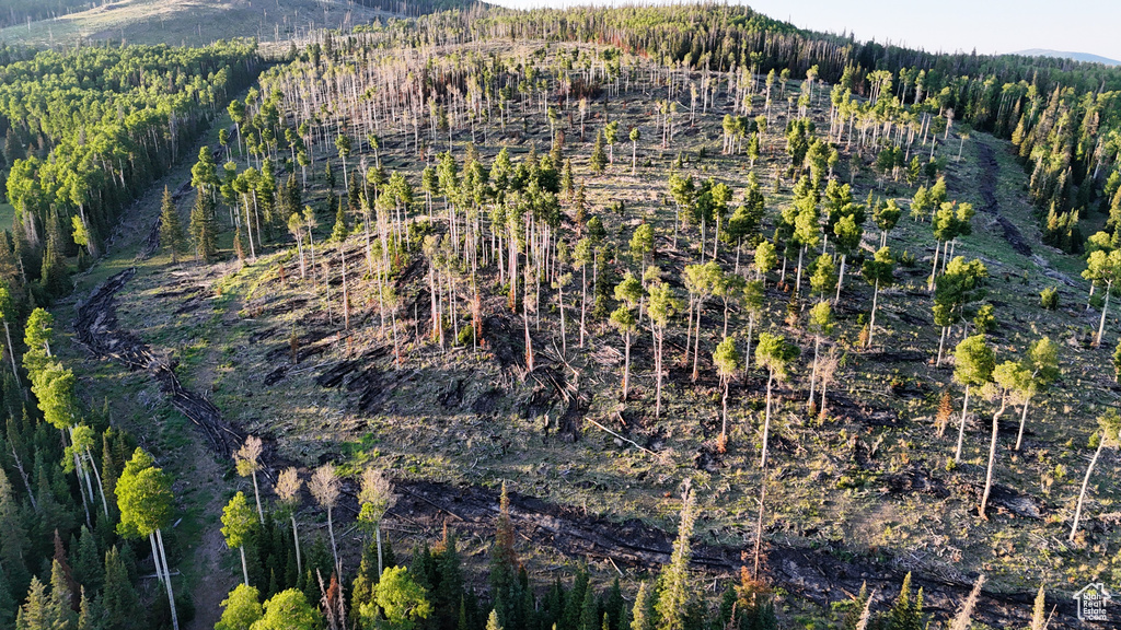 View of mountain backdrop featuring a heavily wooded area