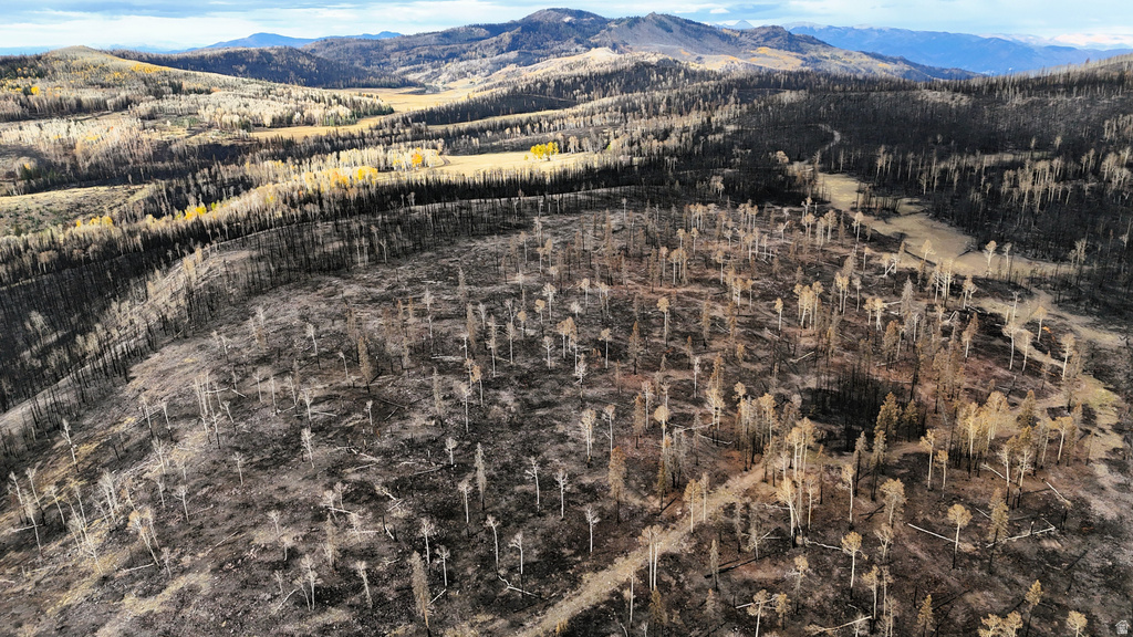 123  TBD MONROE CANYON RD Monroe, UT 84754