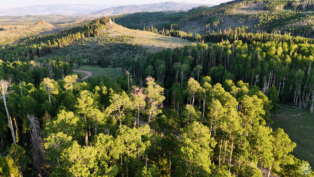 Aerial overview of property's location with a heavily wooded area and a mountain backdrop