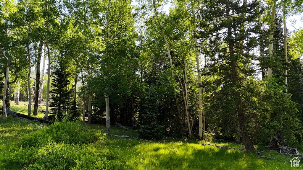 View of nature