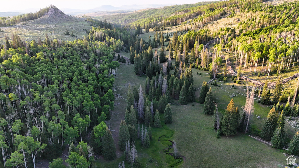 Aerial view of property and surrounding area with a mountainous background