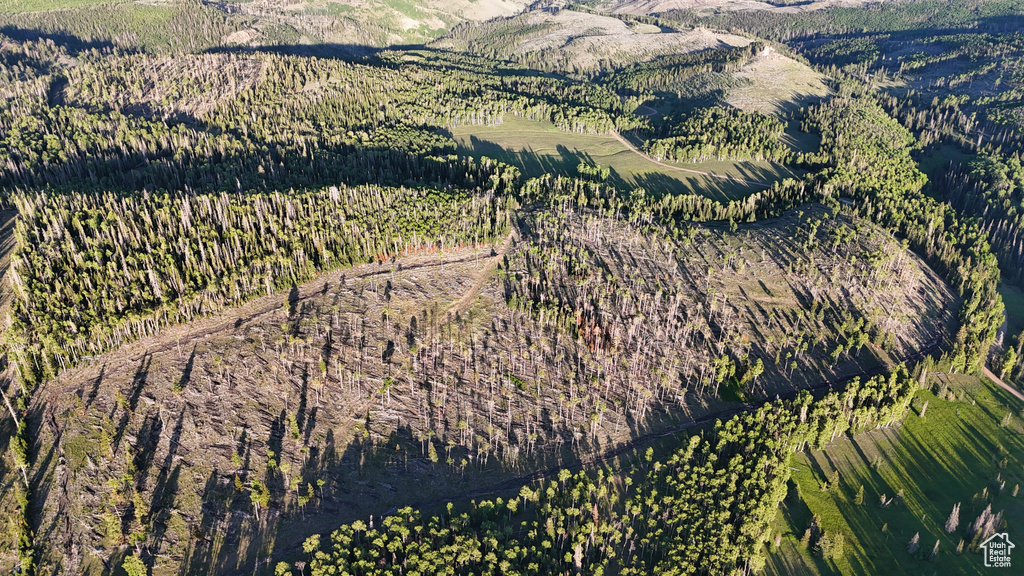 Aerial view of property's location