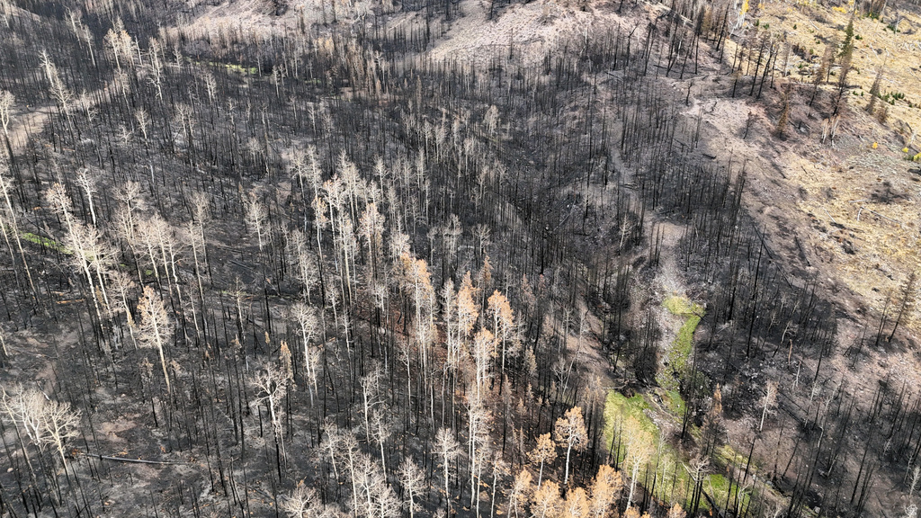 123  TBD MONROE CANYON RD Monroe, UT 84754