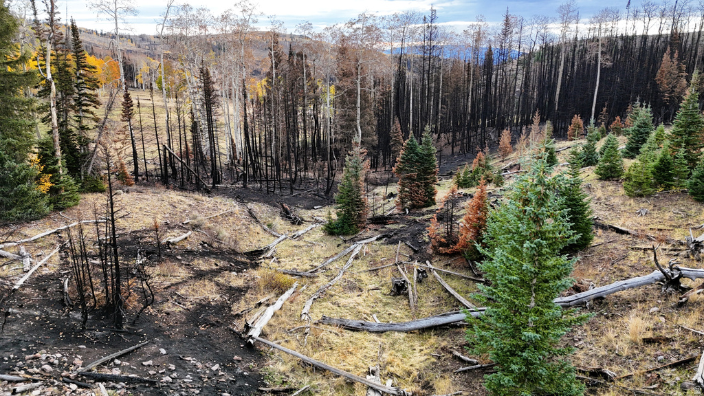 123  TBD MONROE CANYON RD Monroe, UT 84754