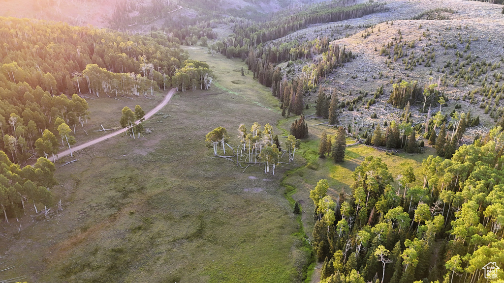 Aerial view of property and surrounding area with a heavily wooded area