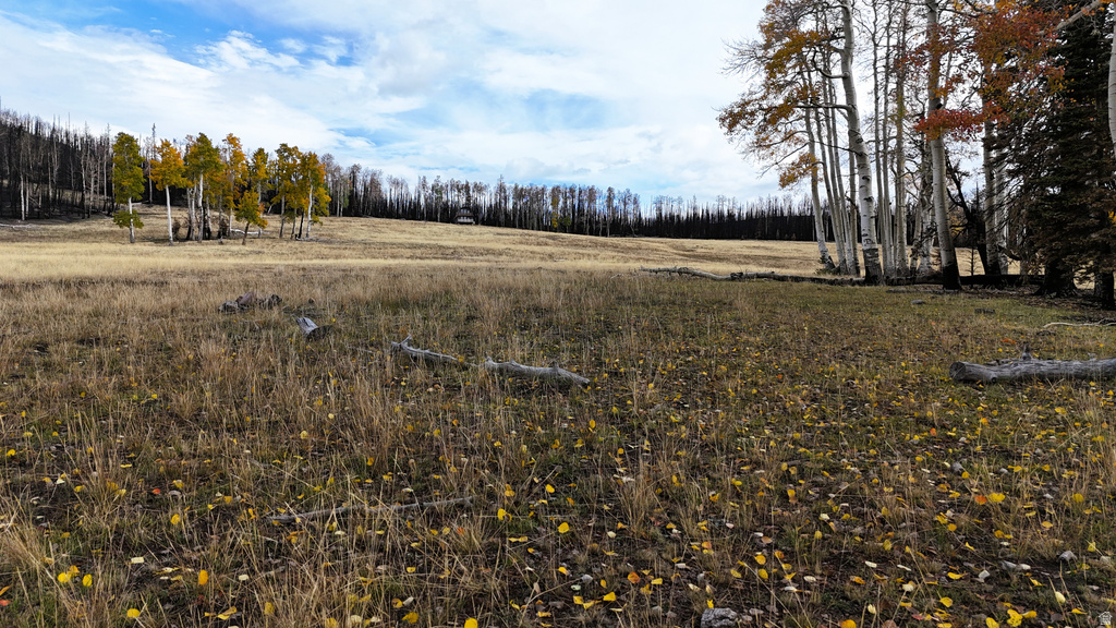 123  TBD MONROE CANYON RD Monroe, UT 84754