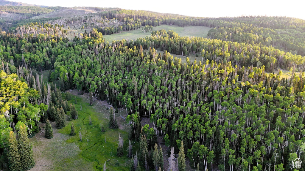 Aerial view of property's location with a forest