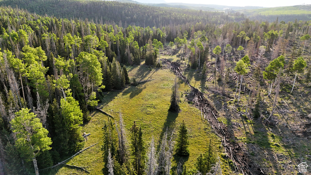 View of property location with a heavily wooded area