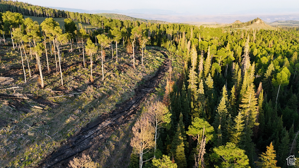 Aerial view of property's location featuring a forest