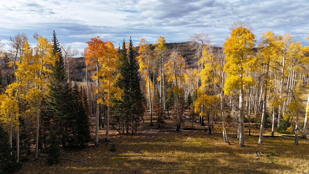 123  TBD MONROE CANYON RD Monroe, UT 84754