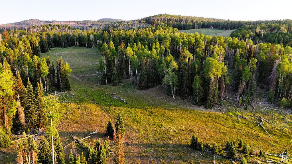 View of mountain background featuring a forest