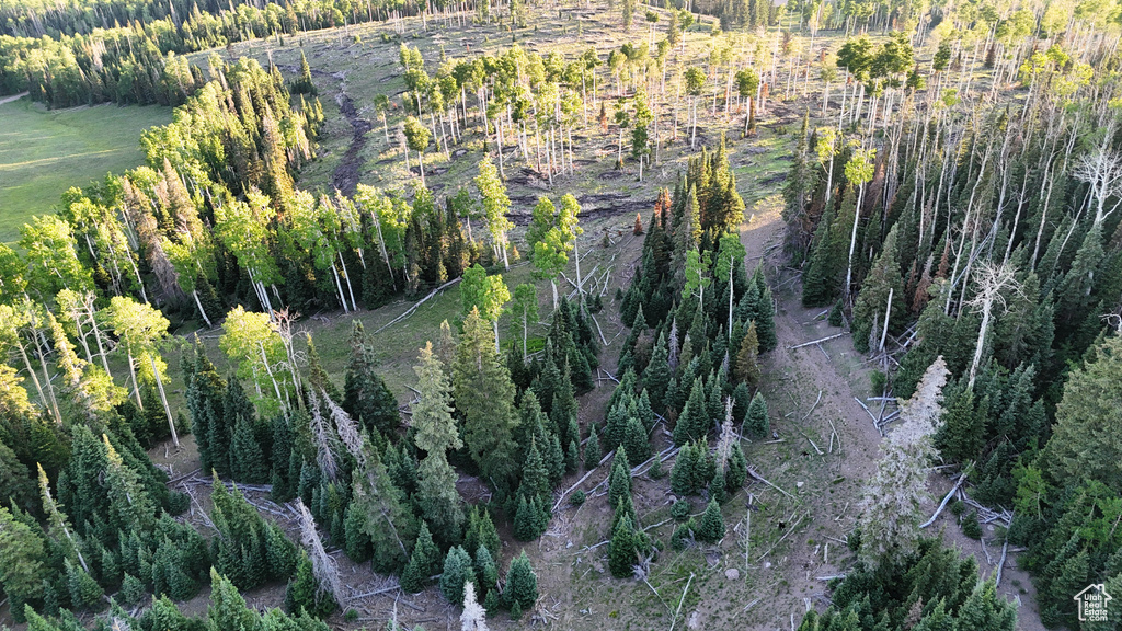 Aerial view of property and surrounding area featuring a forest