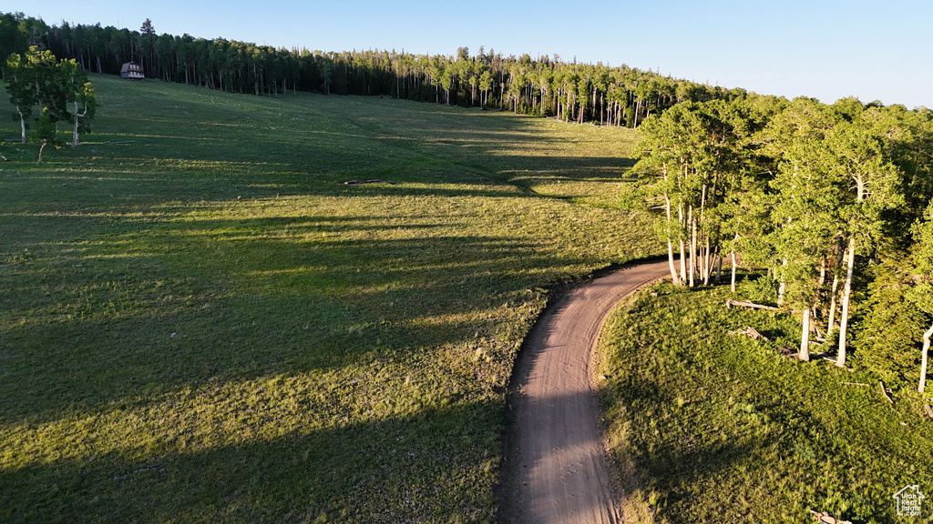Surrounding community with a yard and a forest view