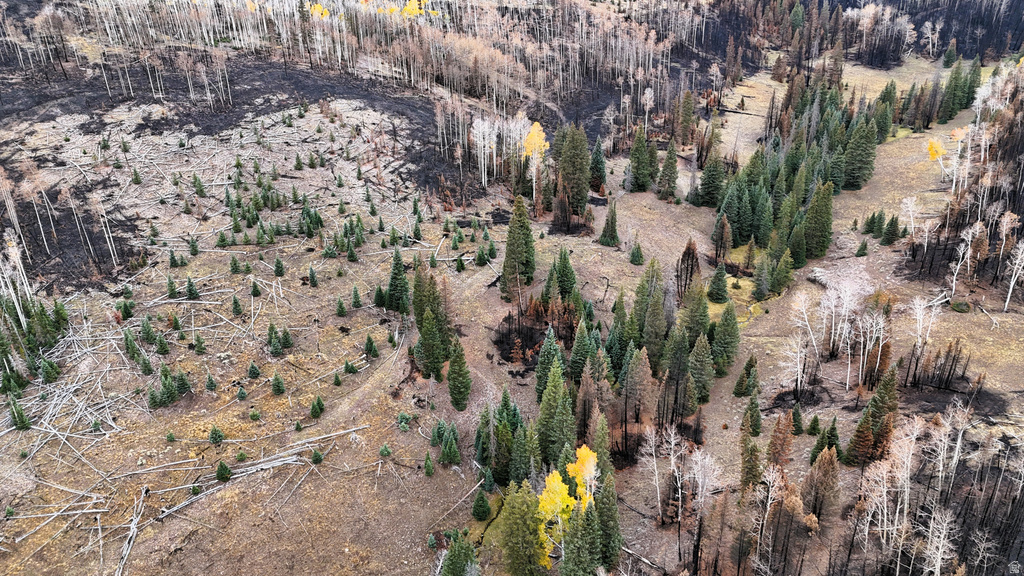 123  TBD MONROE CANYON RD Monroe, UT 84754