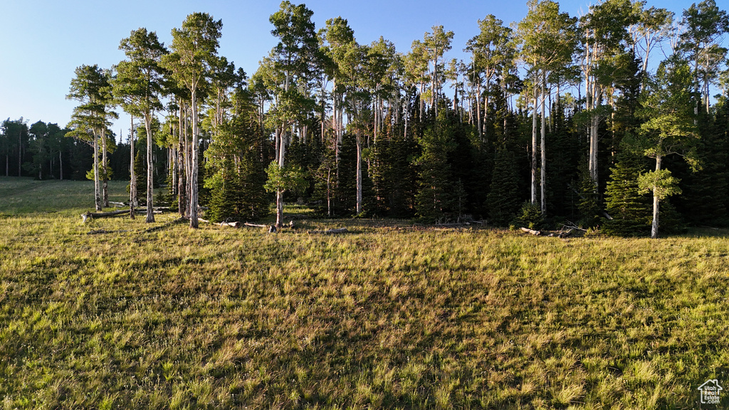 View of wooded area