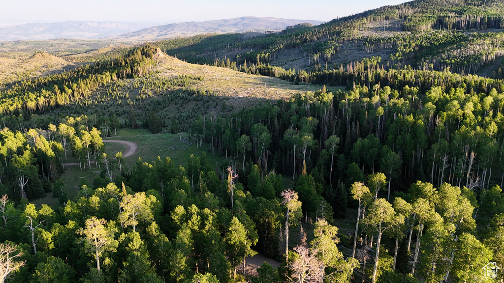 Mountain view featuring a heavily wooded area