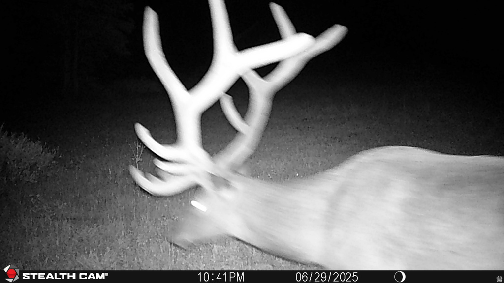 123  TBD MONROE CANYON RD Monroe, UT 84754