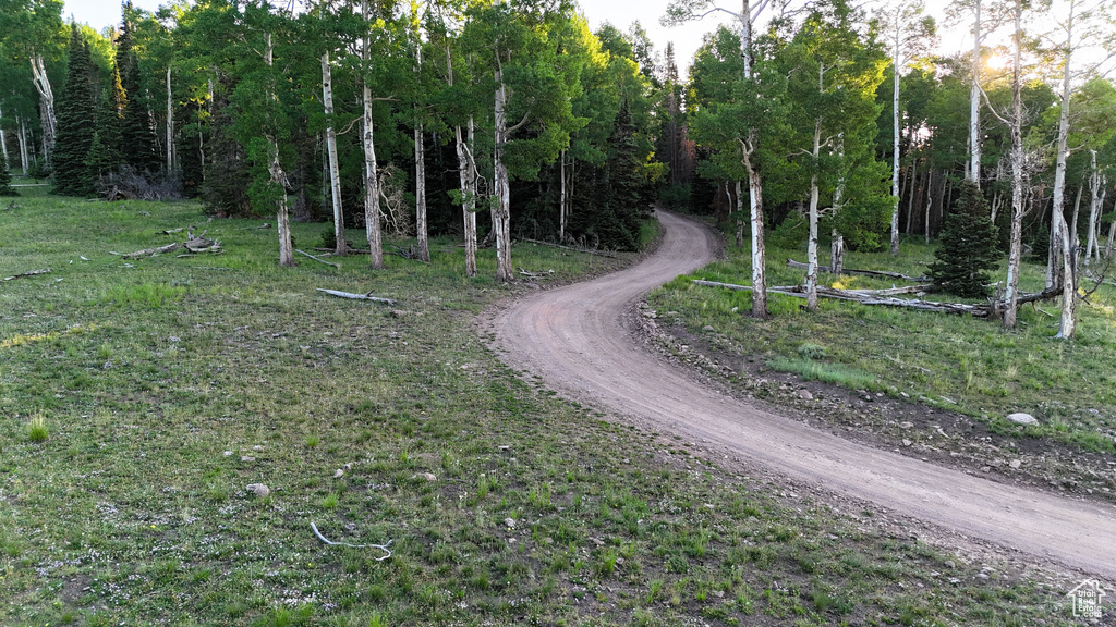 View of dirt / gravel road