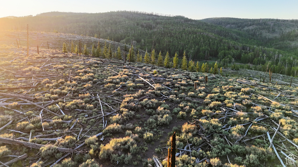 View of mountain background featuring a forest