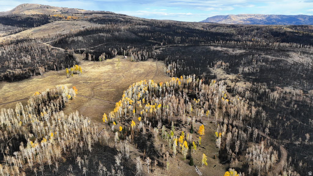 123  TBD MONROE CANYON RD Monroe, UT 84754