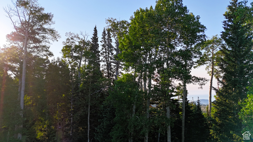View of nature