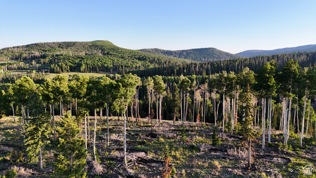View of mountain background with a forest