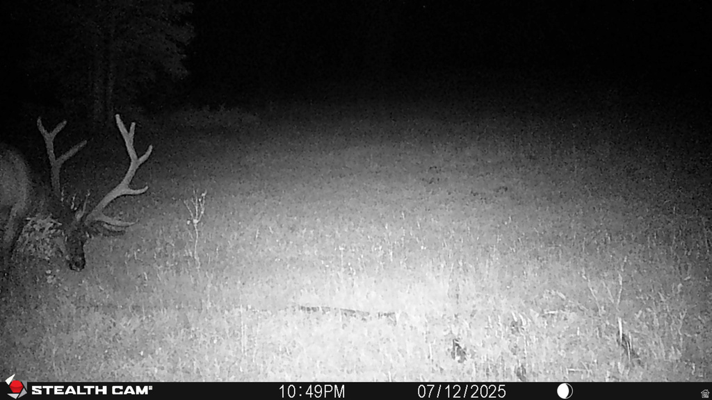 123  TBD MONROE CANYON RD Monroe, UT 84754