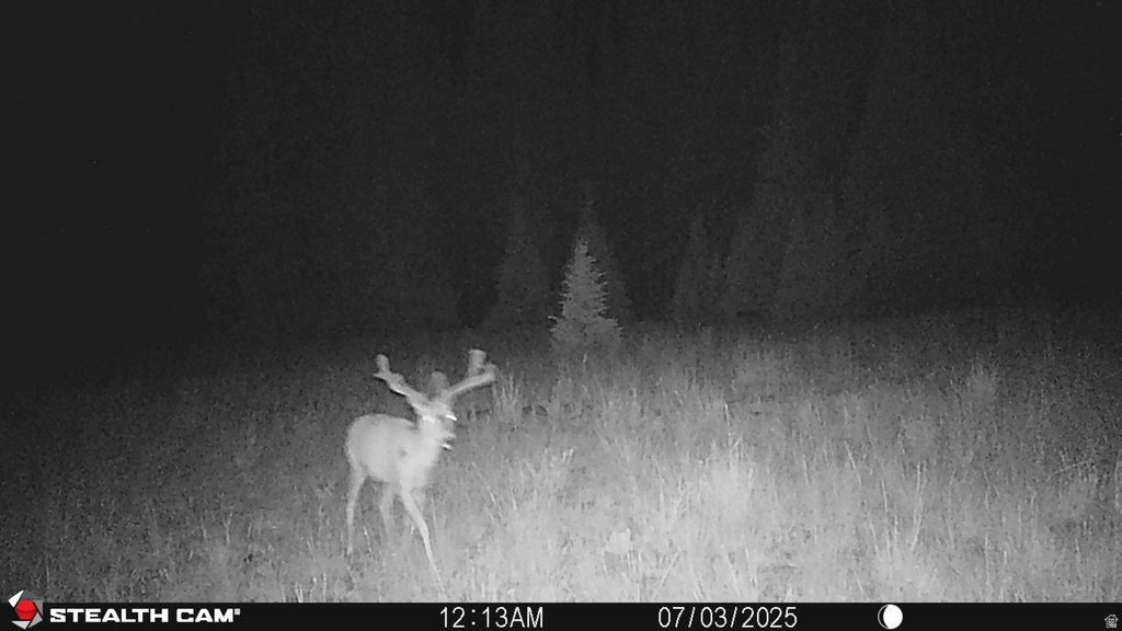 123  TBD MONROE CANYON RD Monroe, UT 84754