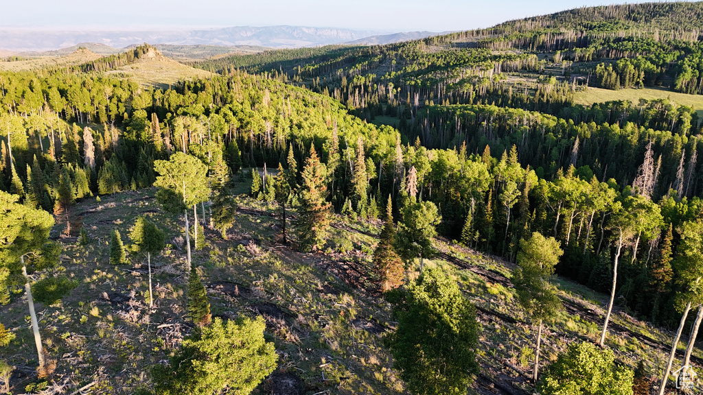 Mountain view featuring a forest