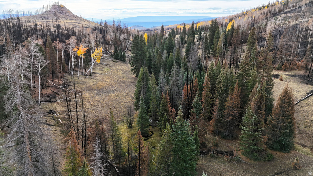 123  TBD MONROE CANYON RD Monroe, UT 84754