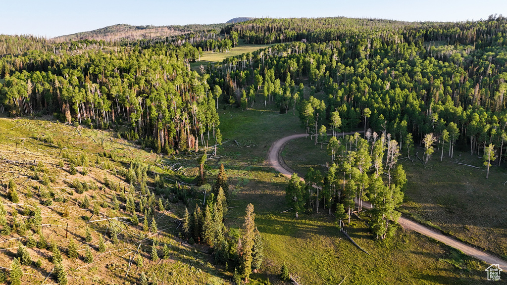 Aerial overview of property's location with a heavily wooded area