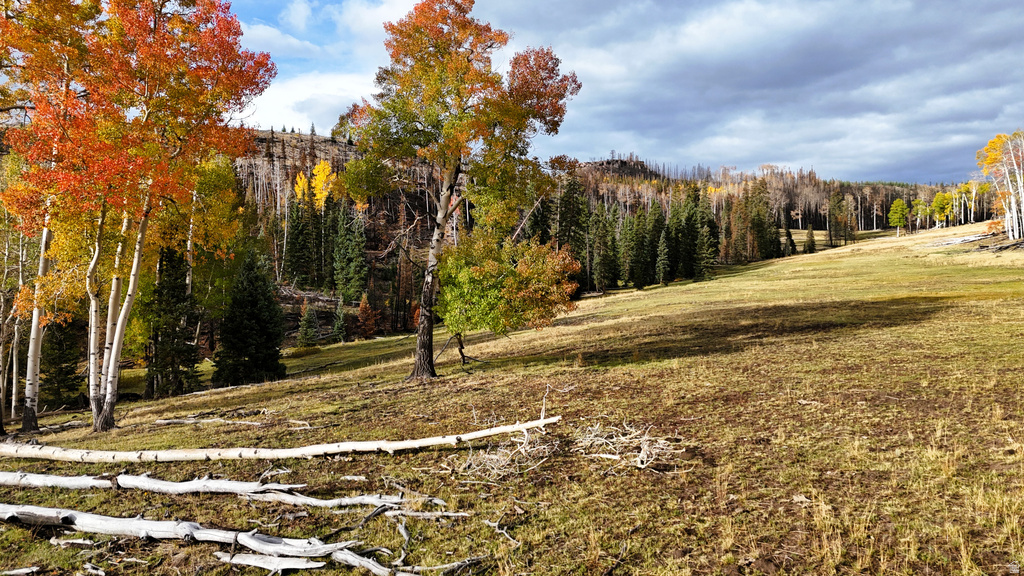 123  TBD MONROE CANYON RD Monroe, UT 84754