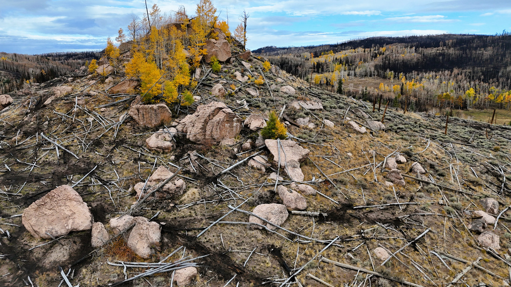 123  TBD MONROE CANYON RD Monroe, UT 84754