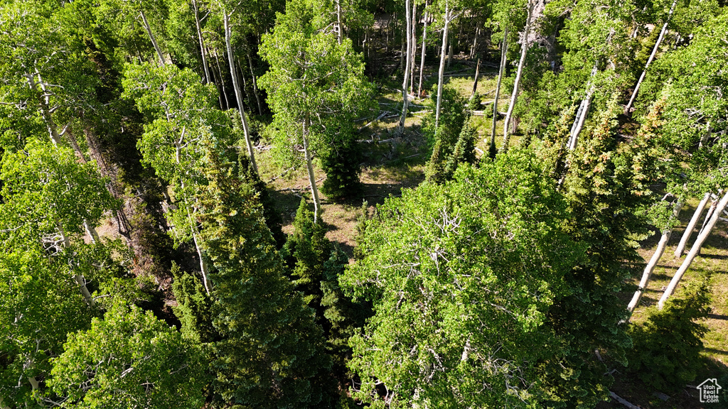 View of undeveloped land