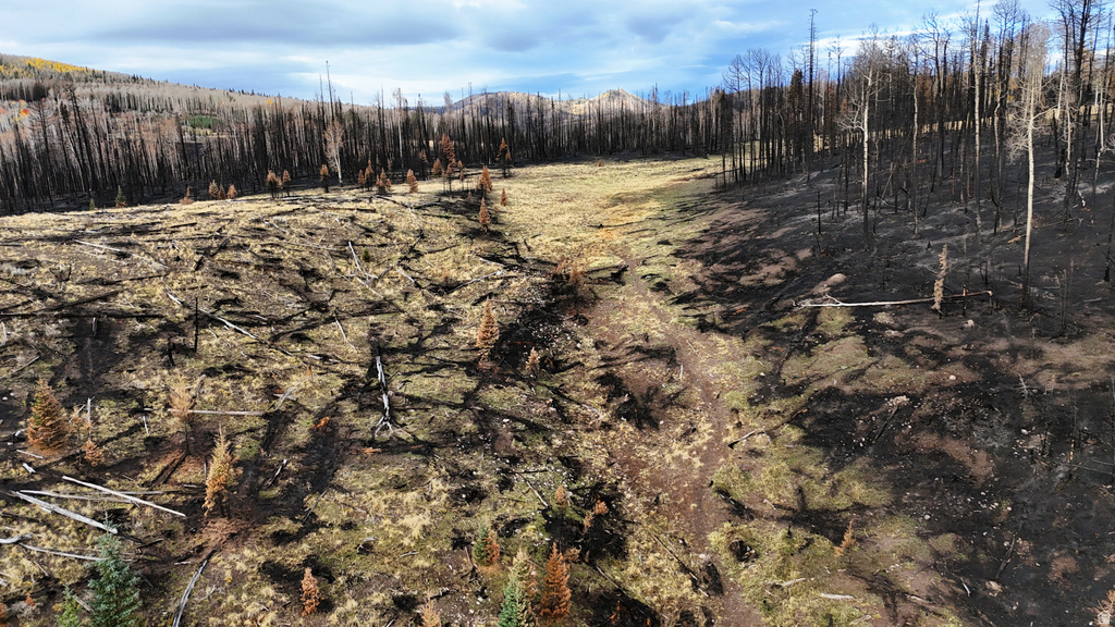 123  TBD MONROE CANYON RD Monroe, UT 84754