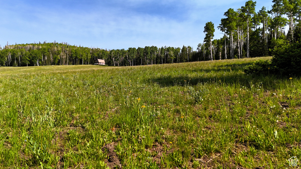 View of wooded area