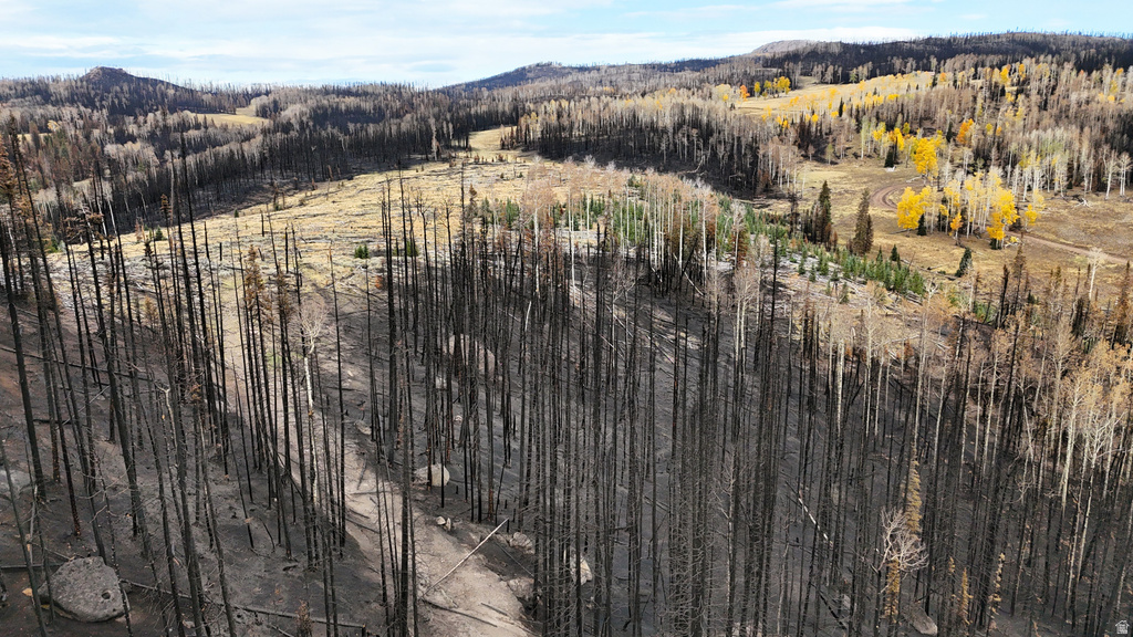 123  TBD MONROE CANYON RD Monroe, UT 84754