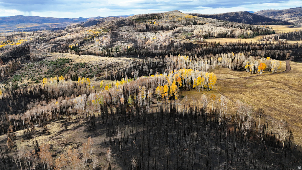 123  TBD MONROE CANYON RD Monroe, UT 84754