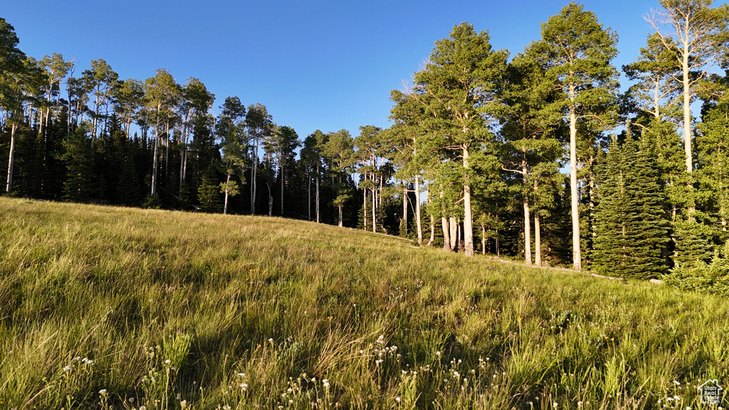 View of nature