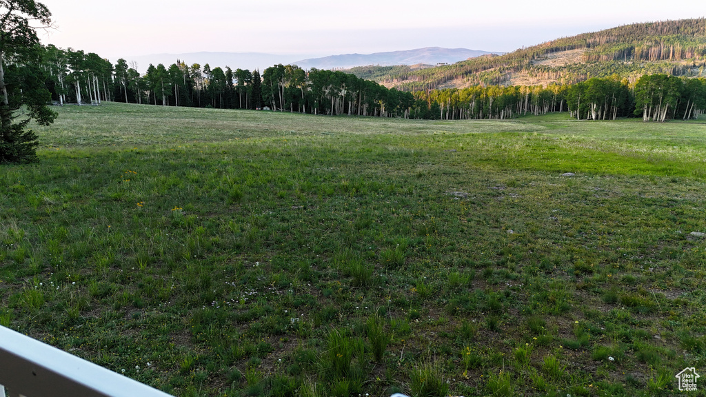 View of green lawn featuring a mountain view and a view of trees