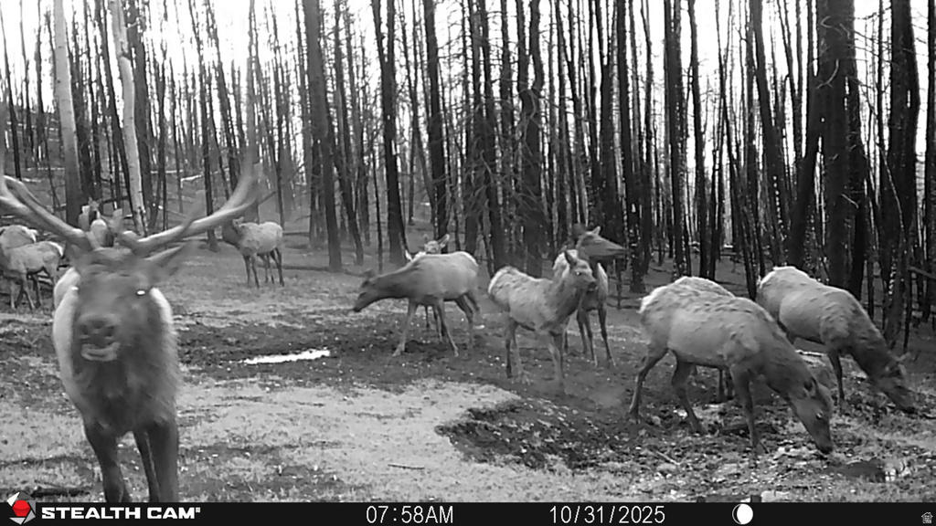 123  TBD MONROE CANYON RD Monroe, UT 84754