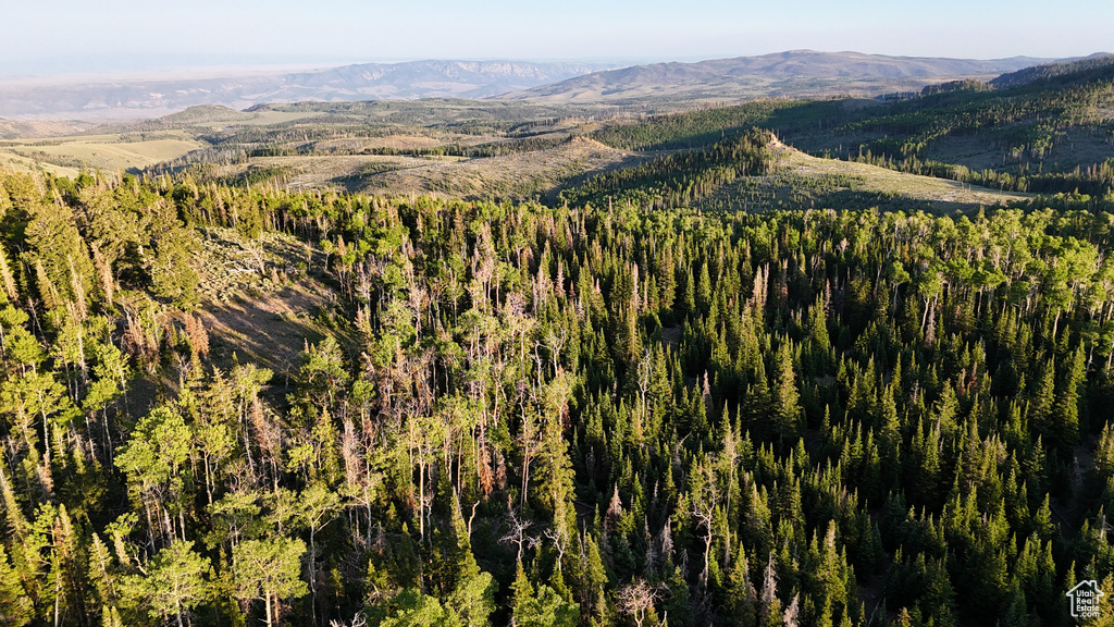 View of mountain background with a forest