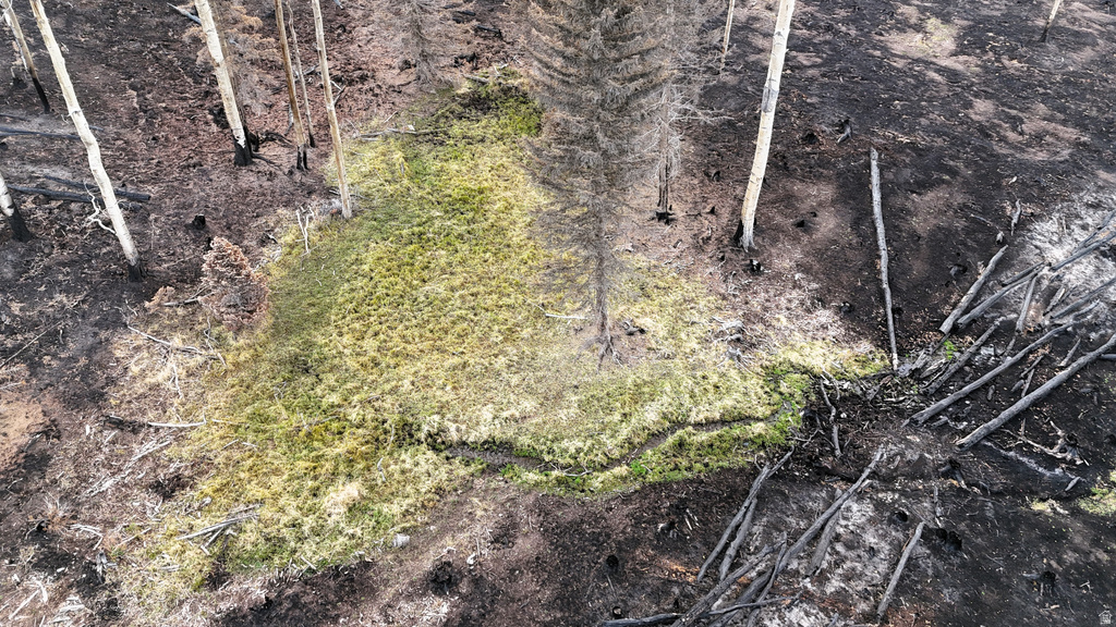 123  TBD MONROE CANYON RD Monroe, UT 84754